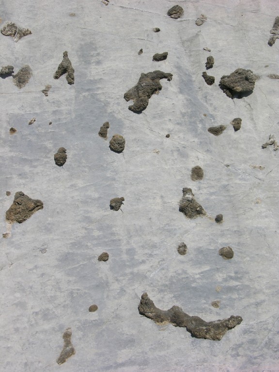 dscn5061.jpg
