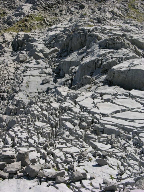 dscn5062.jpg