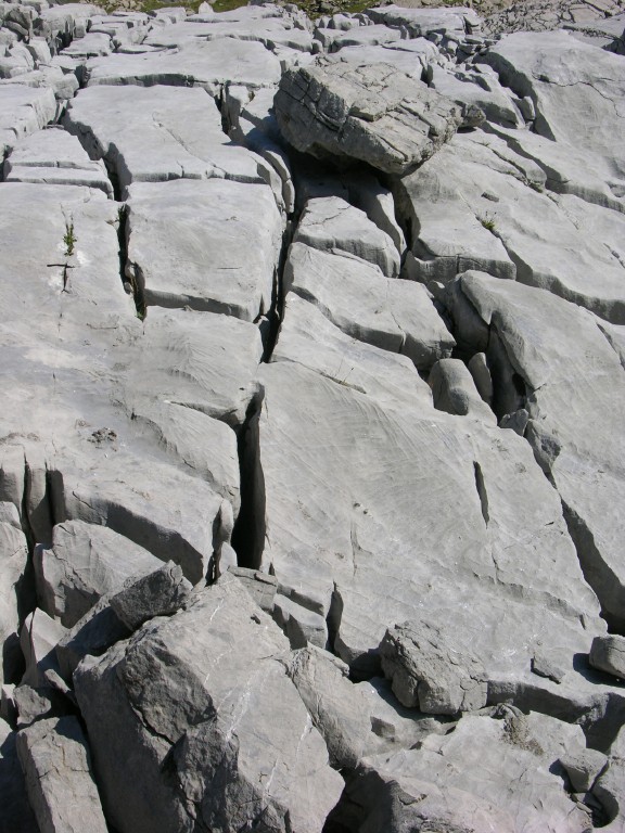dscn5065.jpg
