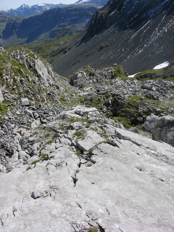 dscn5066.jpg