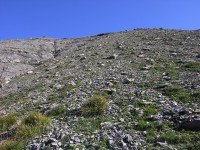 dscn5044.jpg