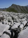 dscn5048.jpg