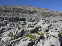 dscn5049.jpg
