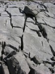 dscn5065.jpg