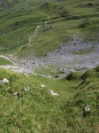 dscn5075.jpg