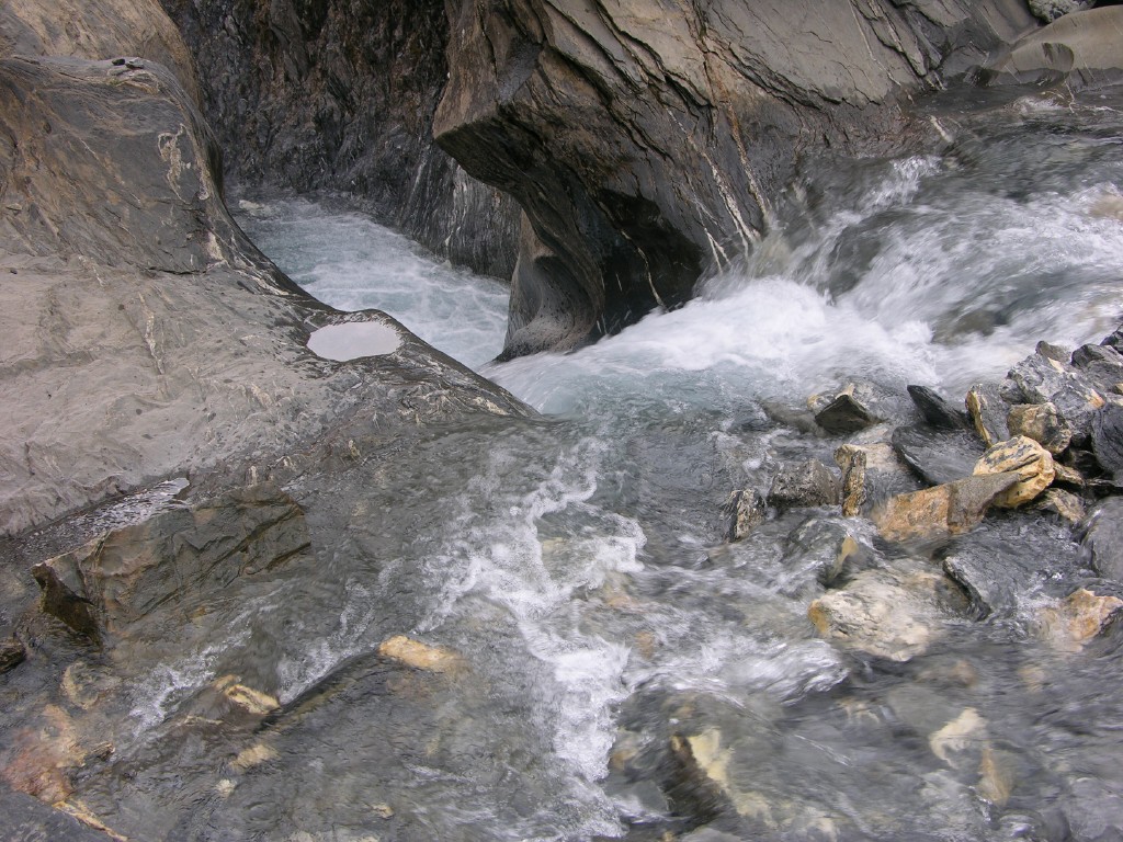 dscn4601.jpg