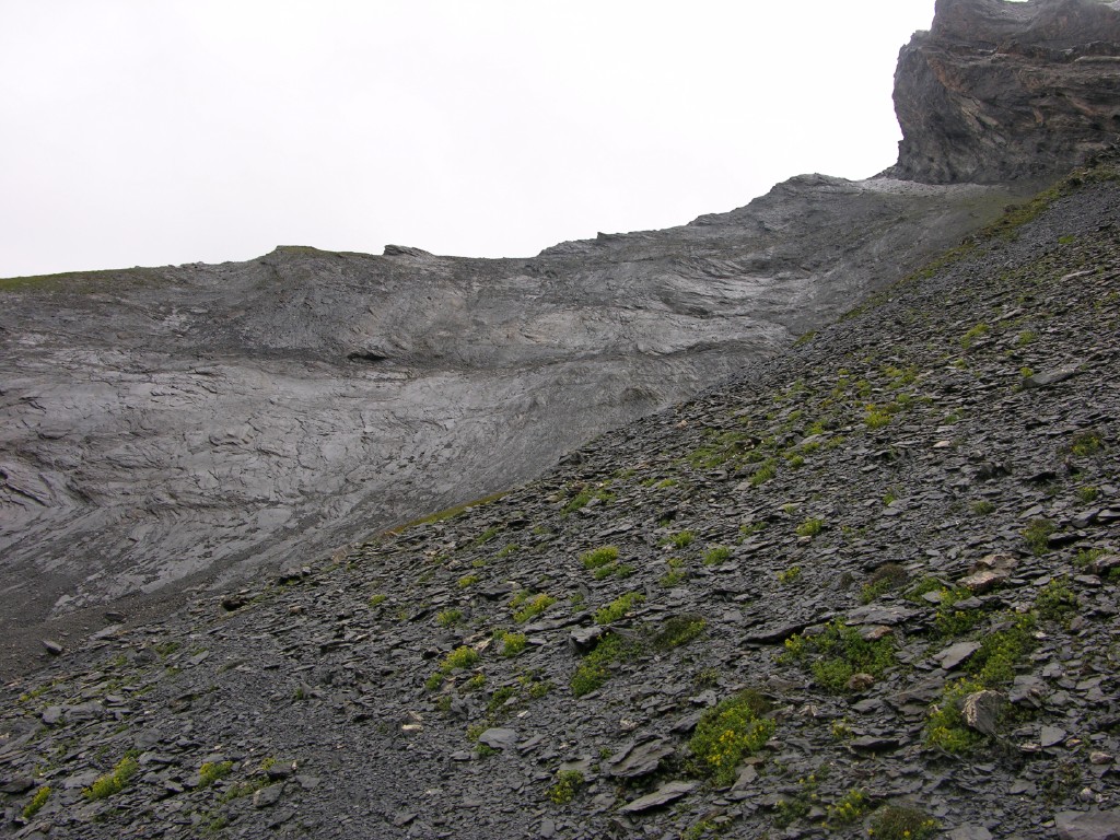 dscn4636.jpg