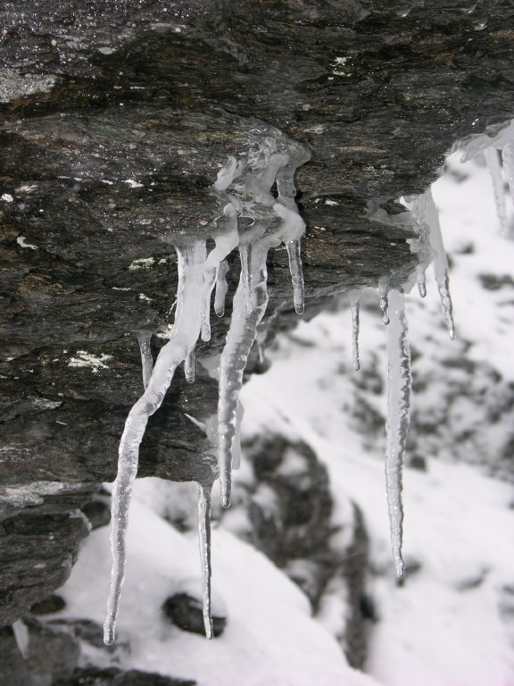 dscn4647.jpg