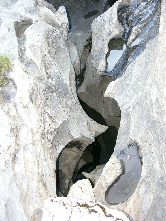 dscn4680.jpg