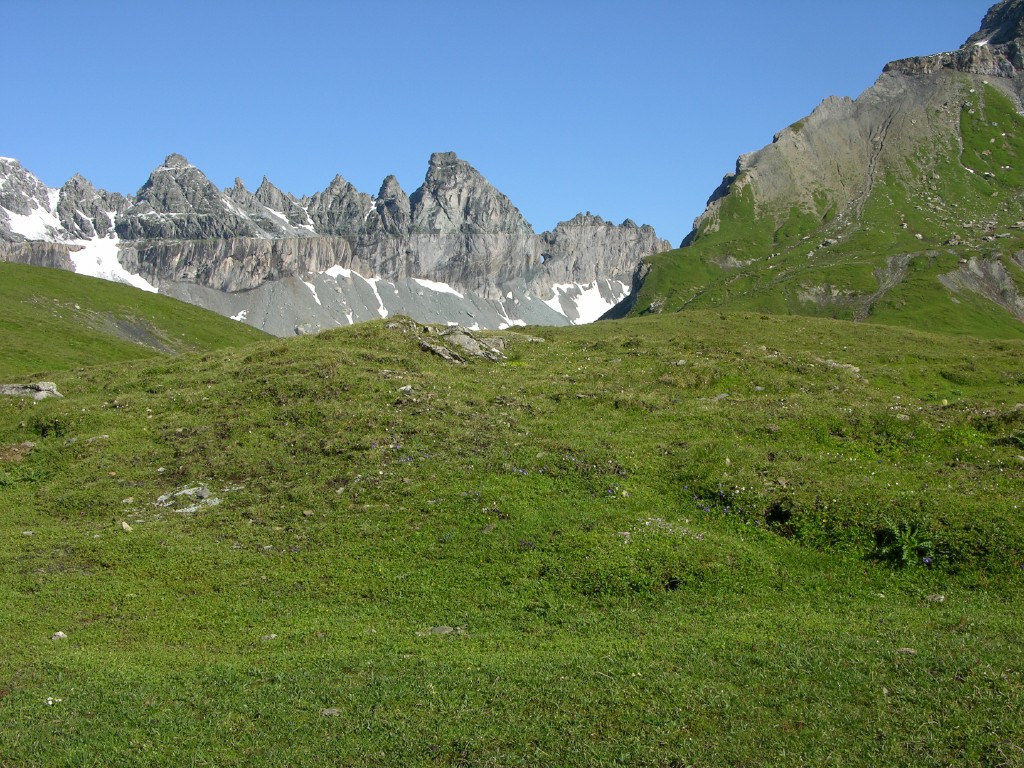 dscn4689.jpg