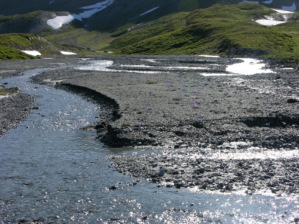 dscn4690.jpg