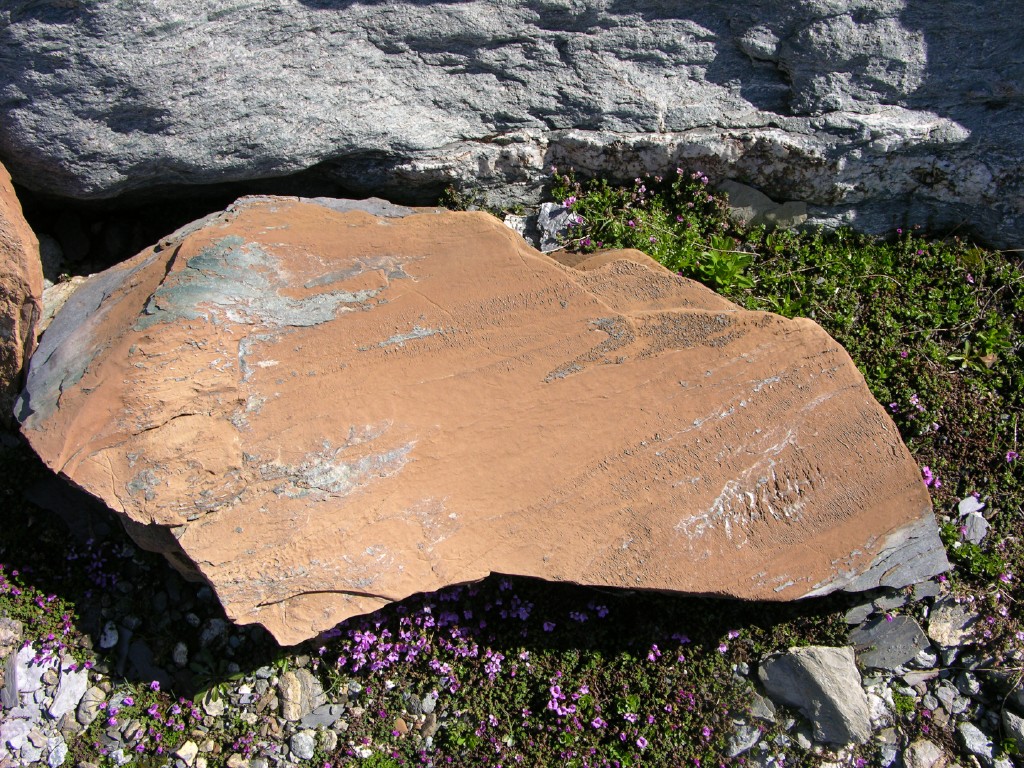 dscn4693.jpg