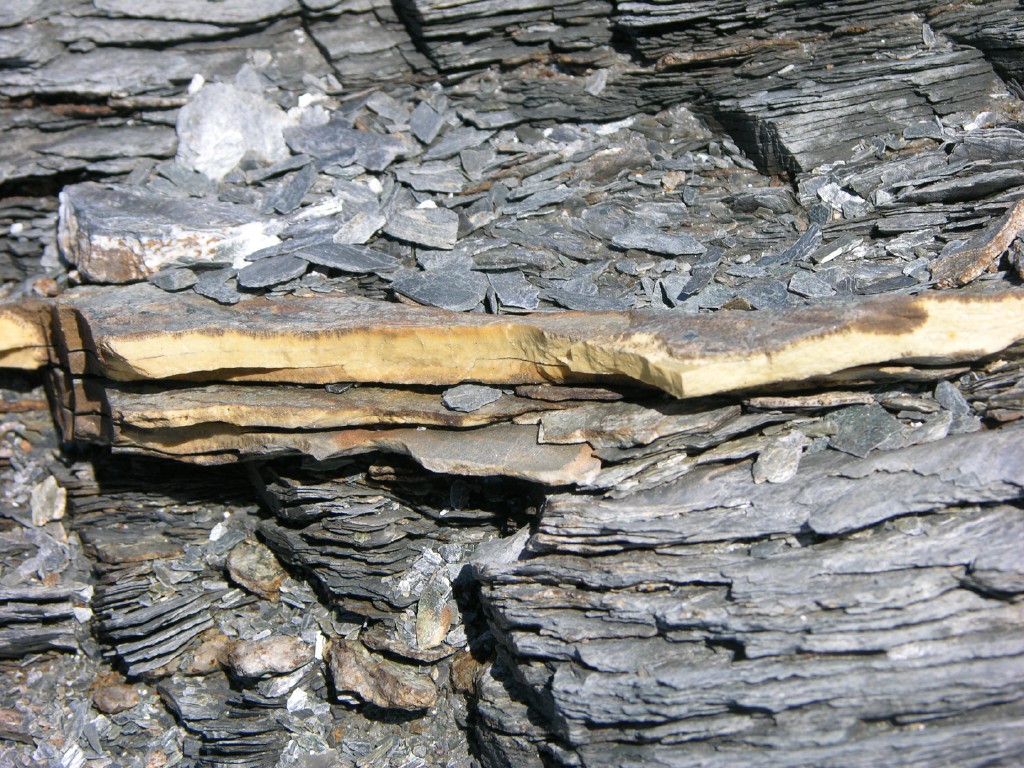dscn4712.jpg