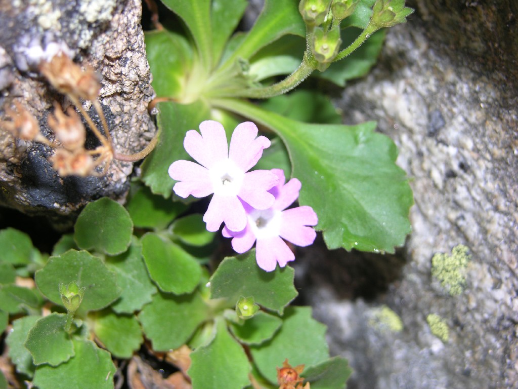 dscn4405.jpg