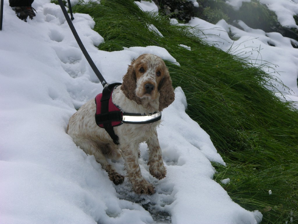 dscn4559.jpg