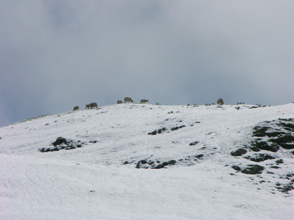 dscn4561.jpg