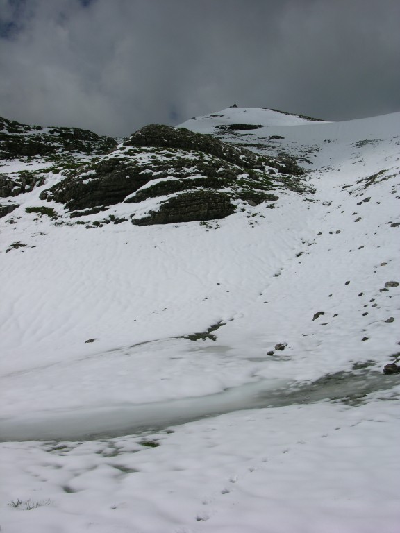 dscn4565.jpg