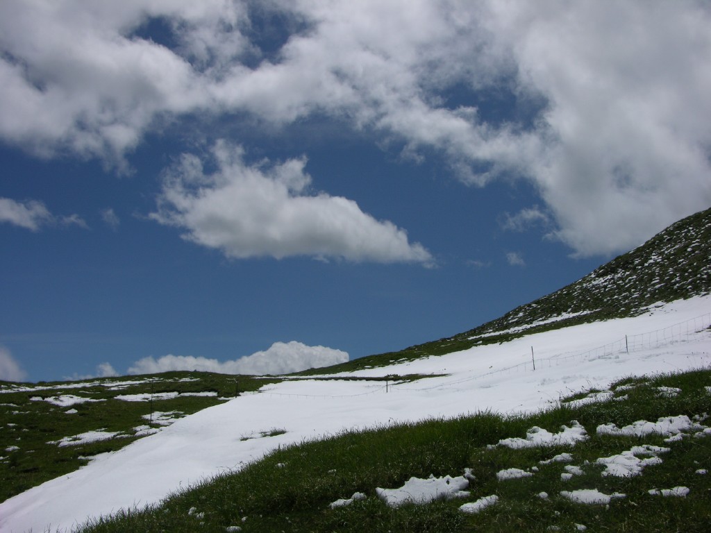 dscn4568.jpg