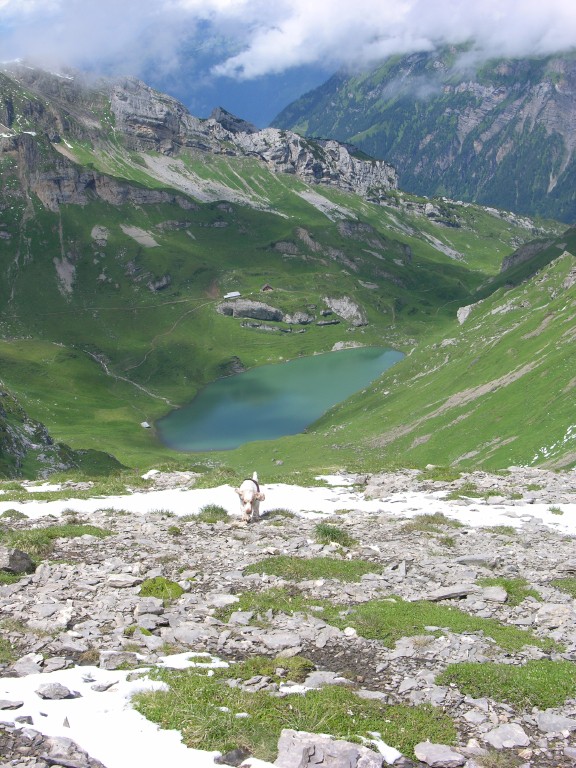 dscn4570.jpg