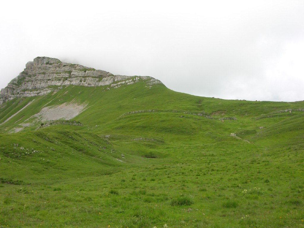 dscn4580.jpg
