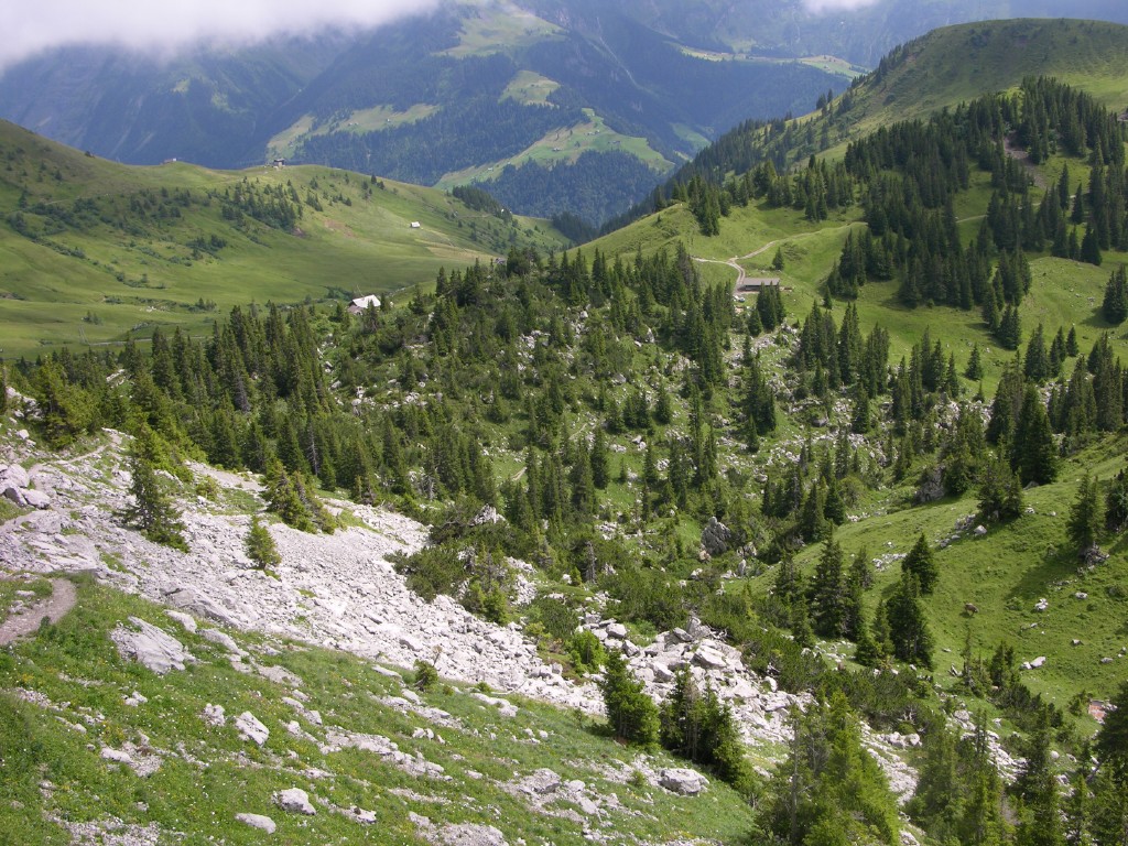 dscn4582.jpg