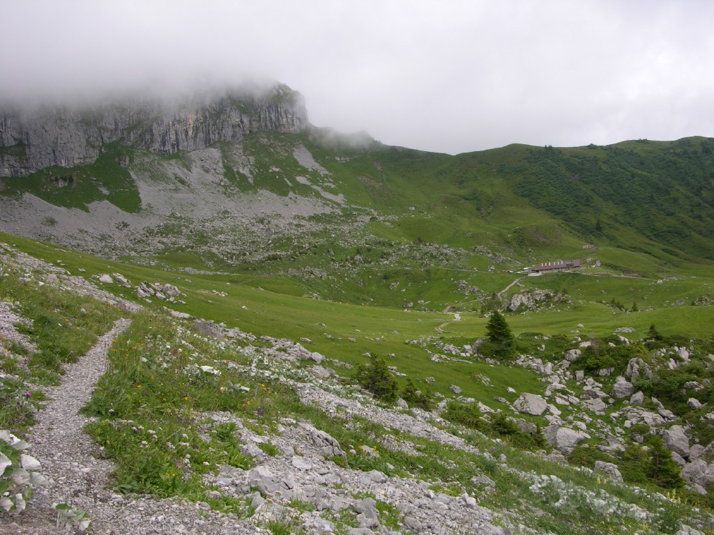 dscn4584.jpg