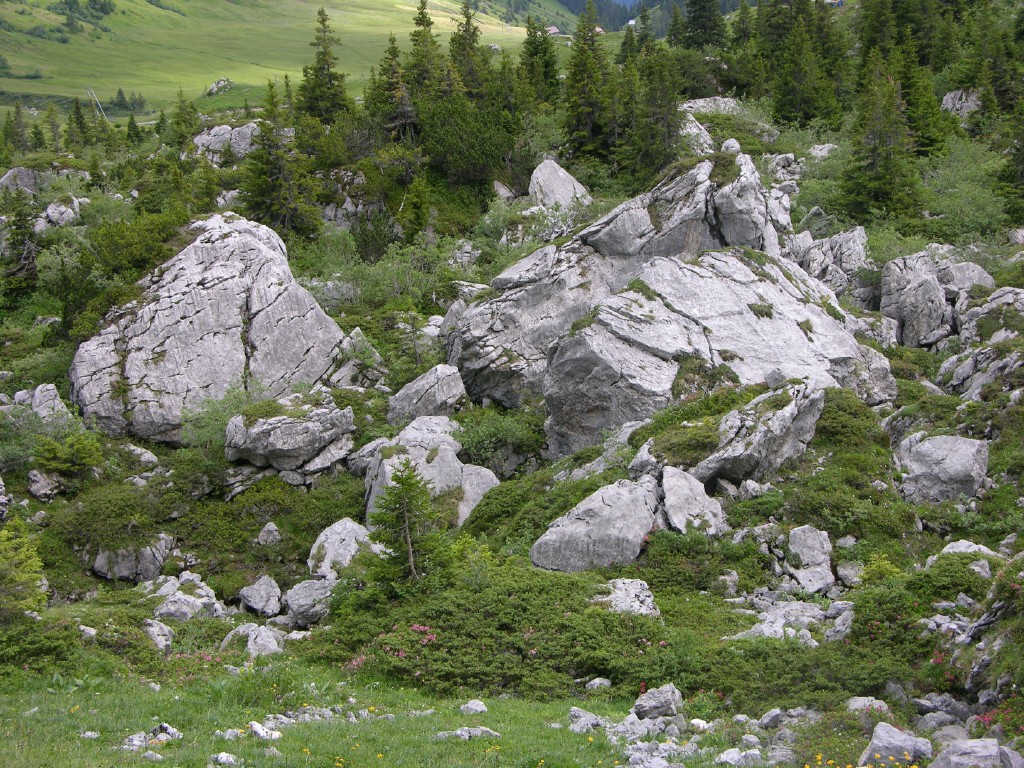 dscn4585.jpg