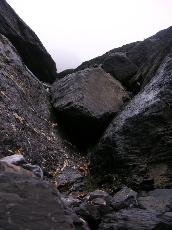 dscn5242.jpg