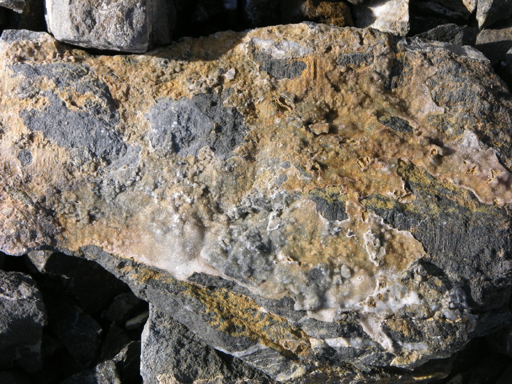 dscn5254.jpg