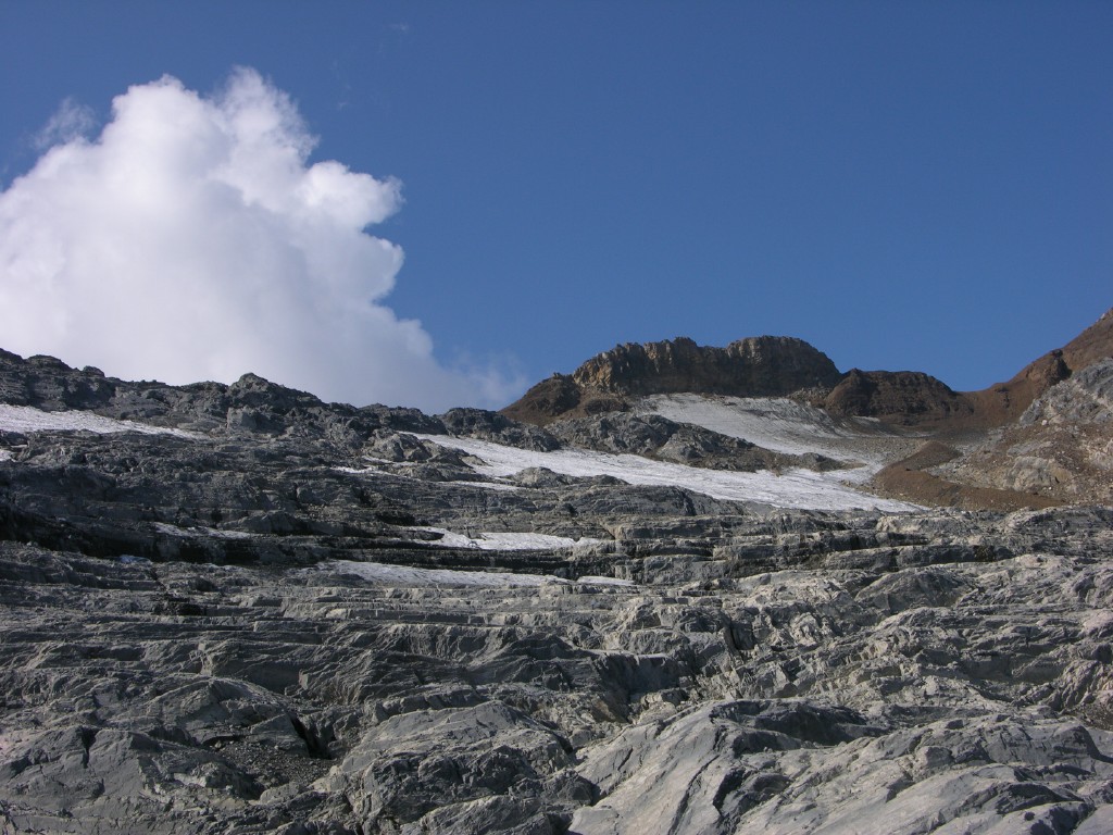 dscn5262.jpg