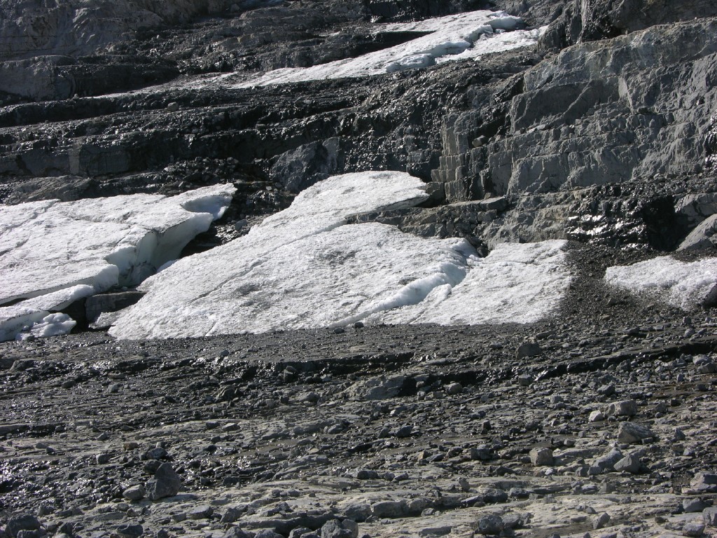 dscn5266.jpg