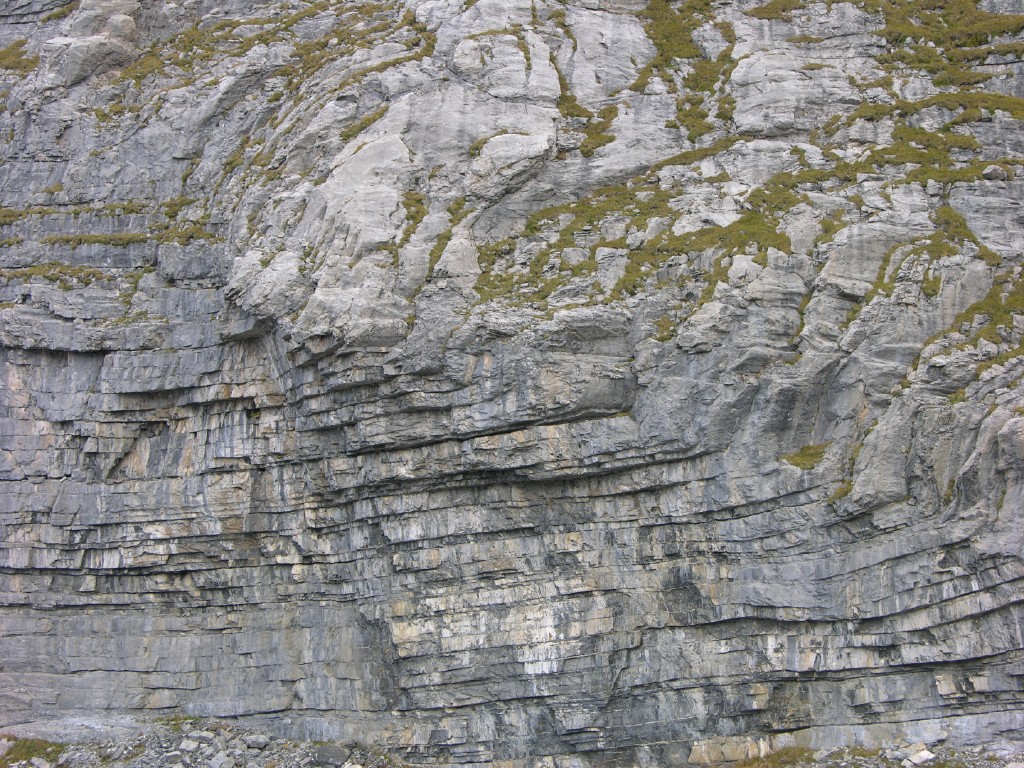 dscn5278.jpg