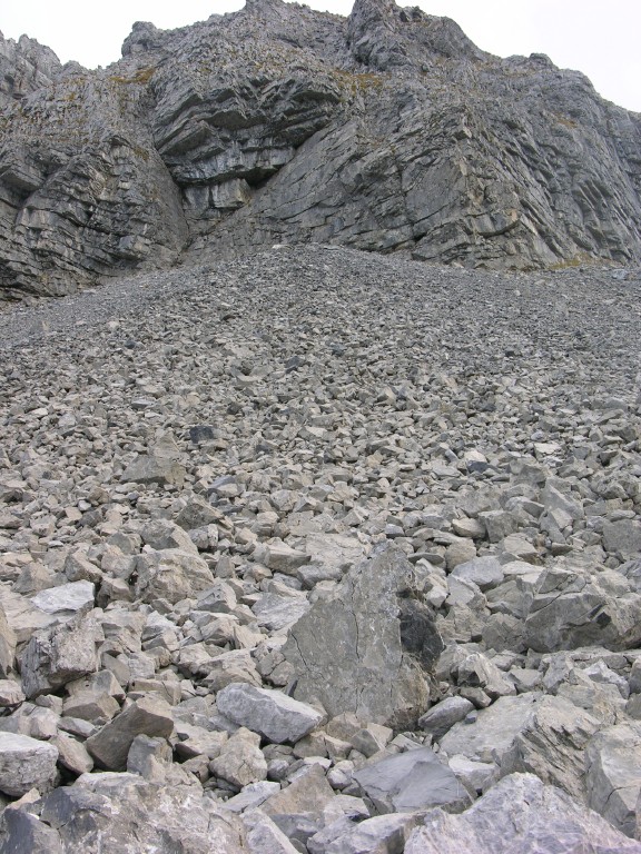 dscn5279.jpg