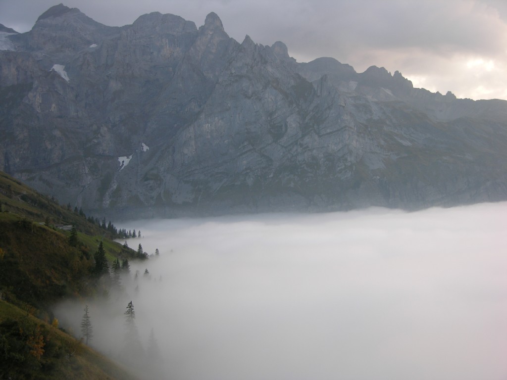 dscn5291.jpg