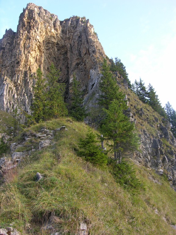 dscn5292.jpg