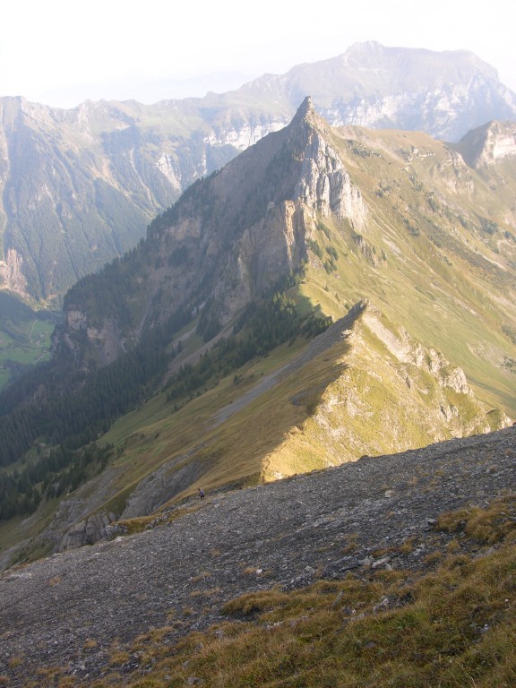 dscn5297.jpg