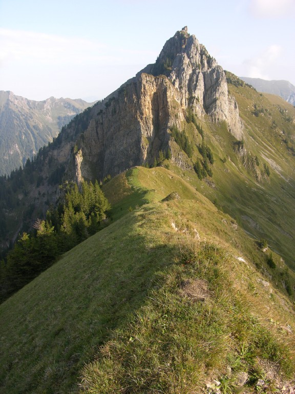 dscn5300.jpg