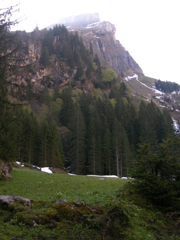 dscn4118.jpg