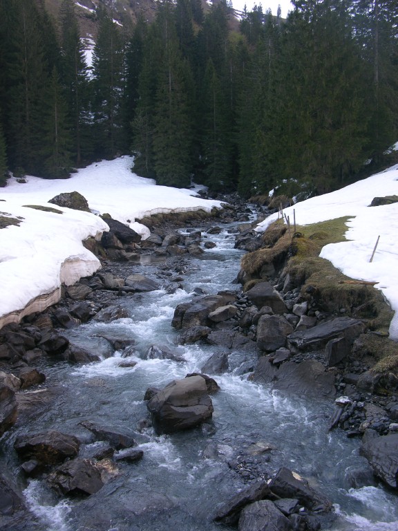 dscn4119.jpg