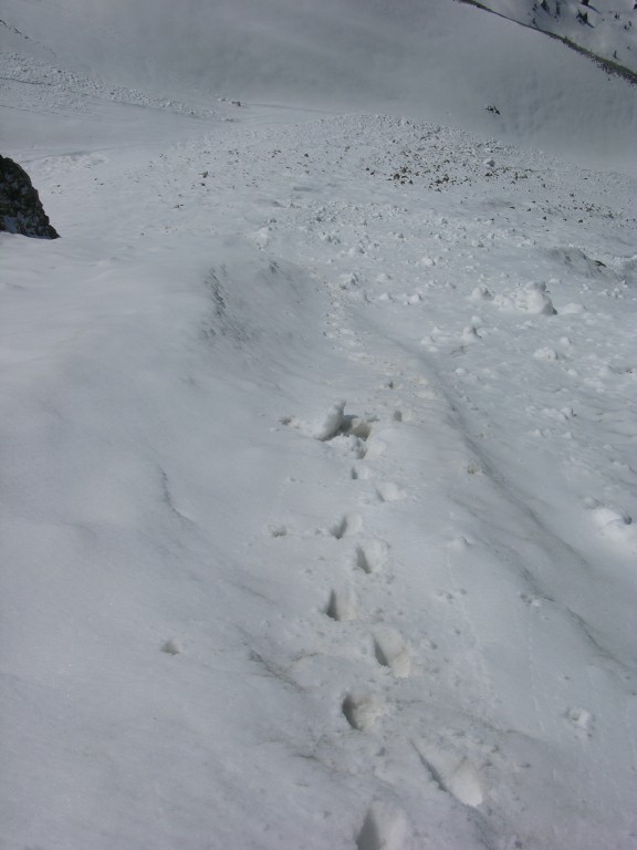 dscn4129.jpg