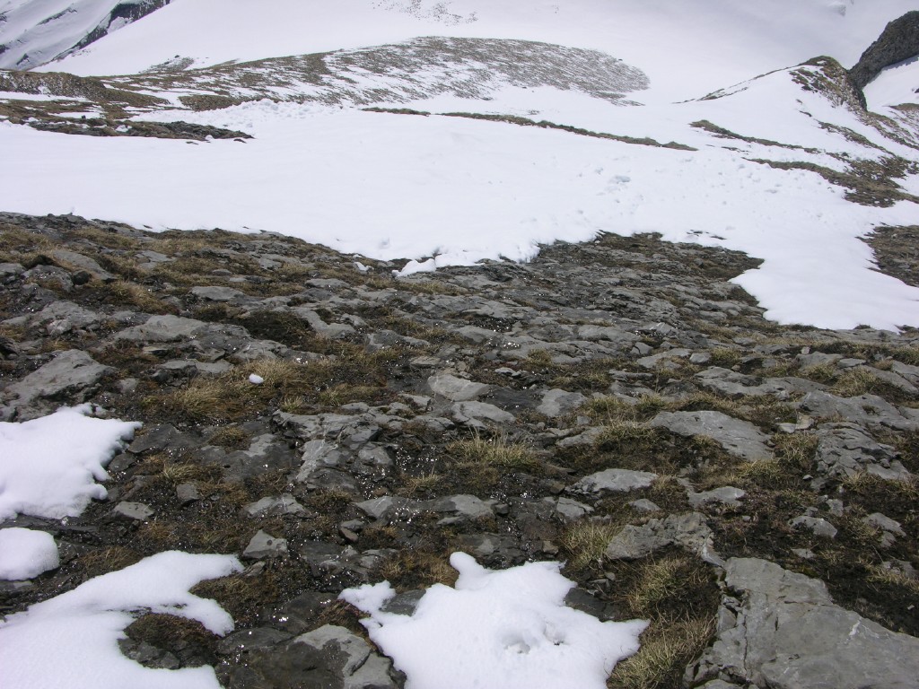 dscn4130.jpg