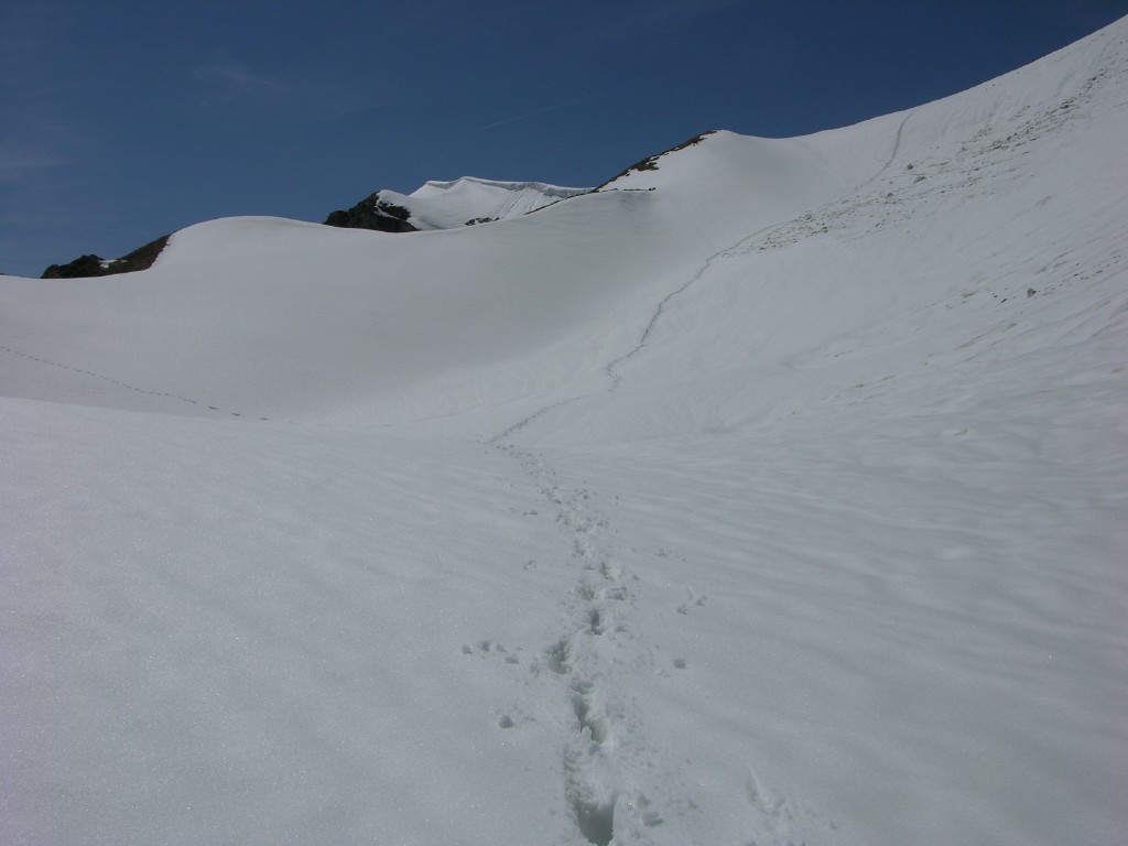 dscn4141.jpg