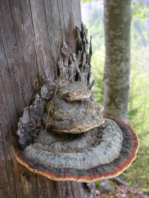 dscn4146.jpg