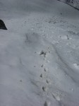dscn4129.jpg