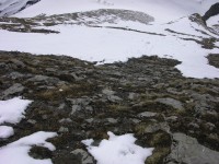 dscn4130.jpg