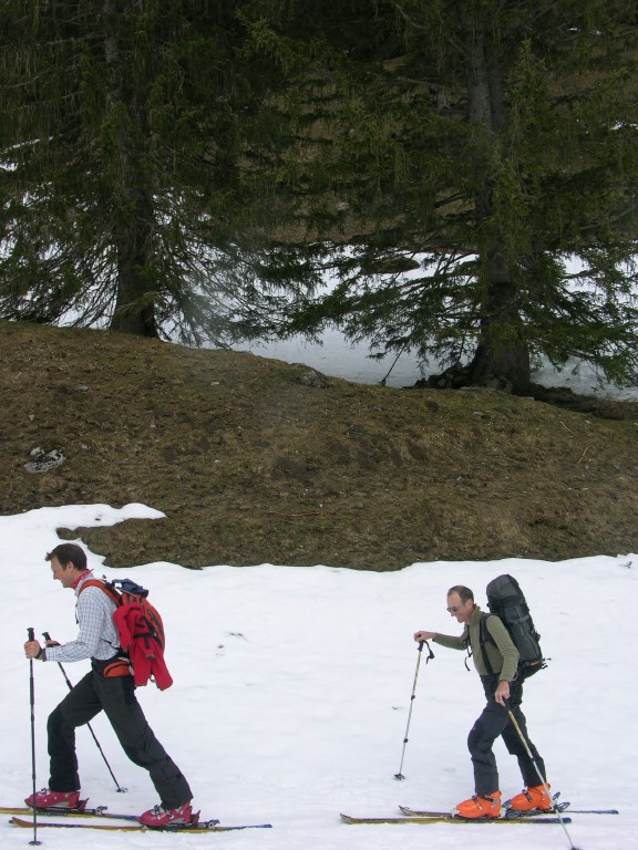 dscn3971.jpg