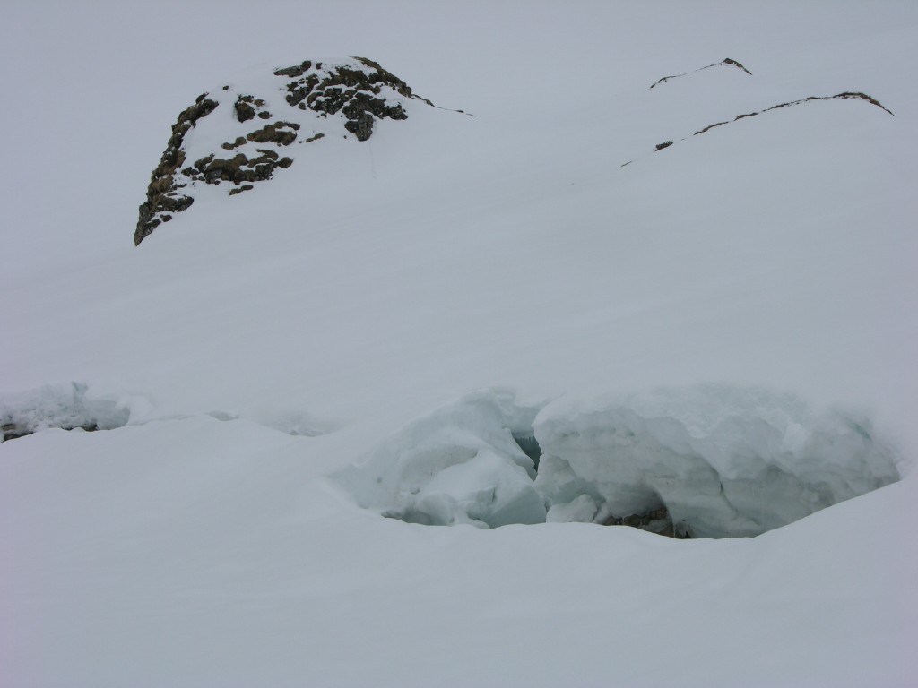 dscn3978.jpg
