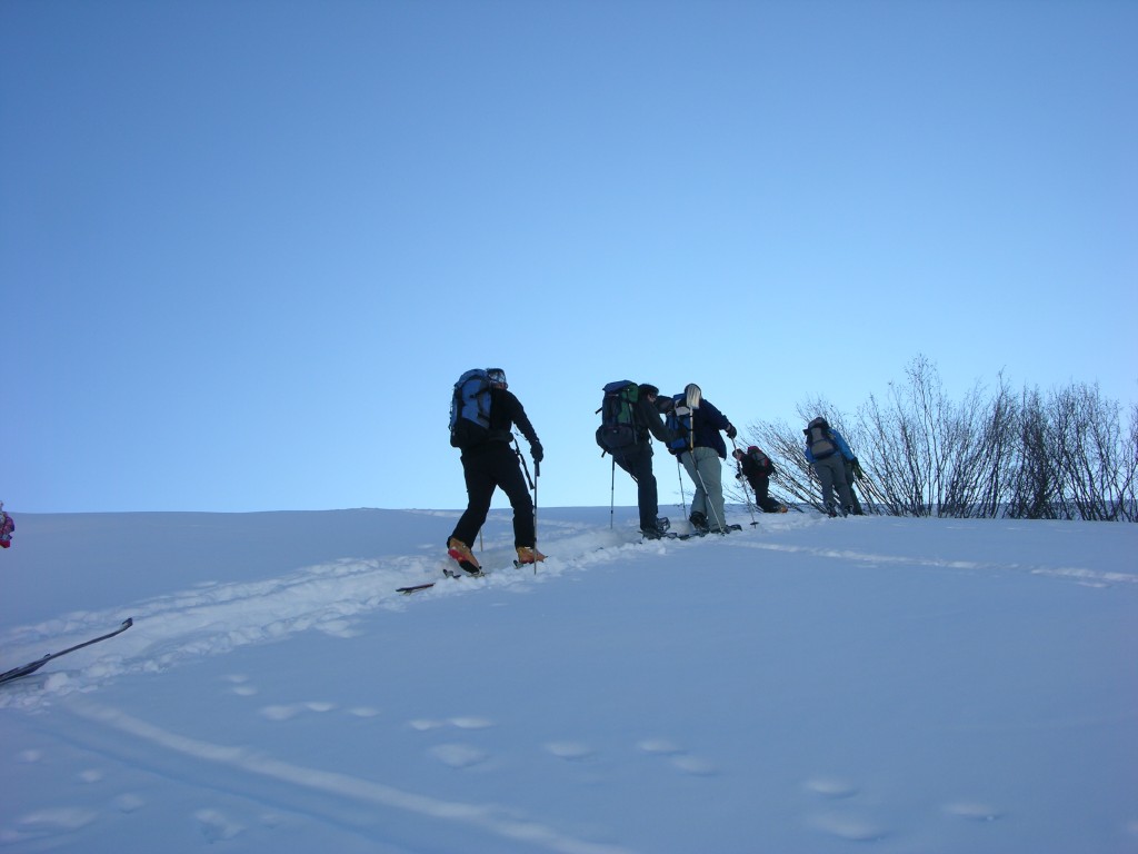 dscn3113.jpg