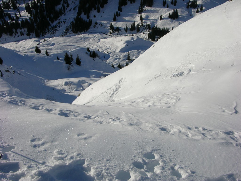 dscn3117.jpg