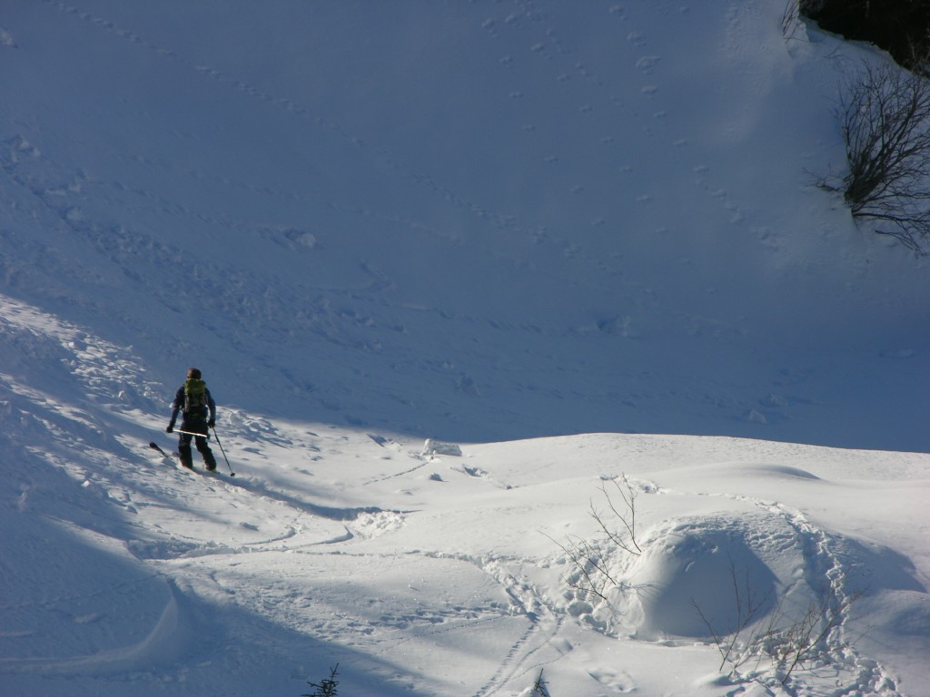 dscn3118.jpg